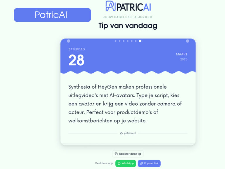 portfolio dayai patricai